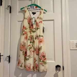Stitch fix dress: fortune and ivy